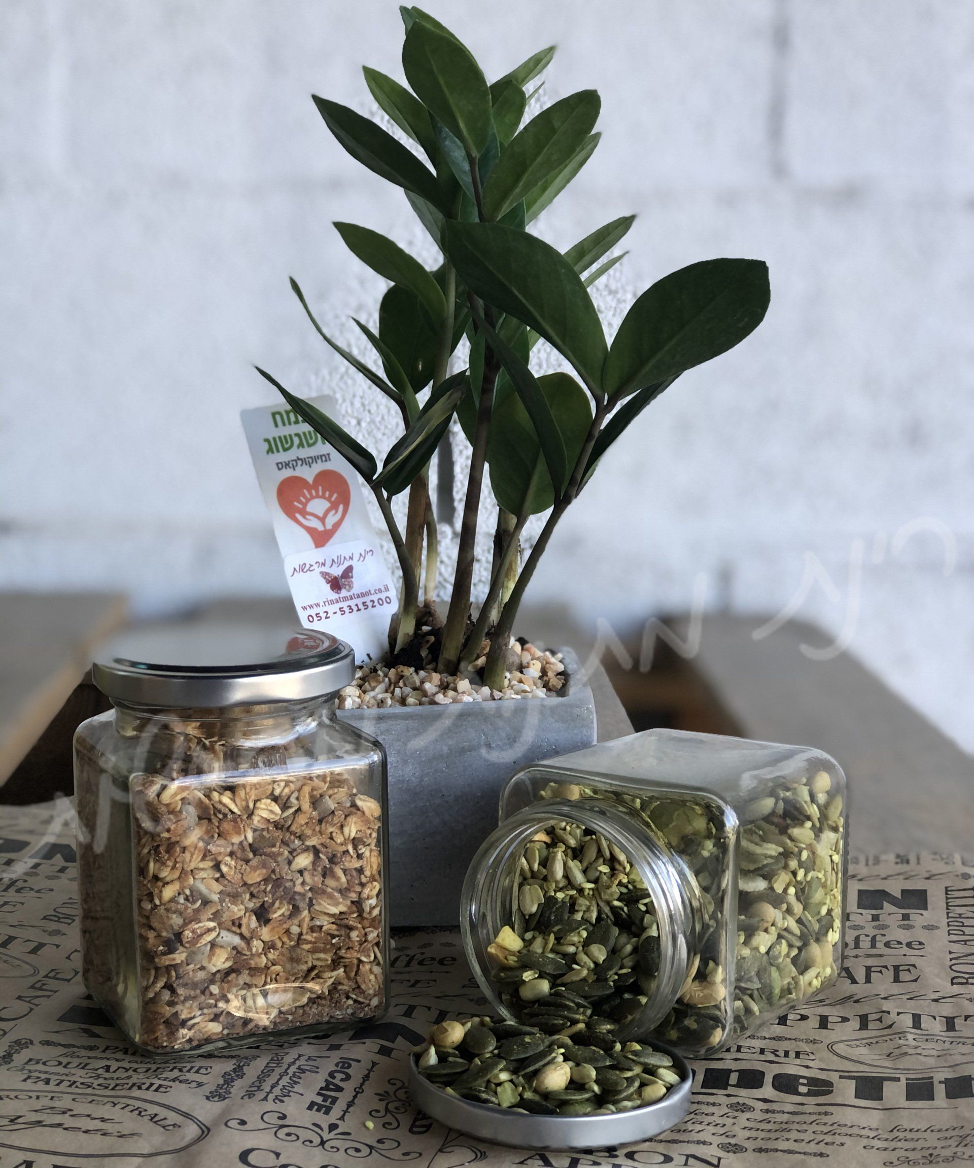 חג של צמיחה ונשנושים