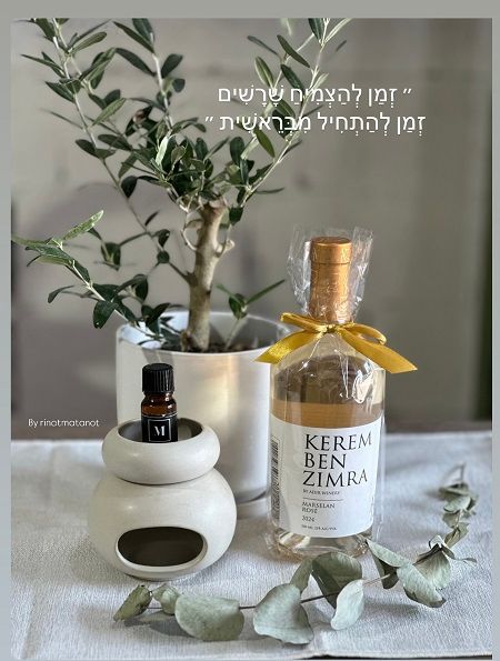 זמן להצמיח שורשים