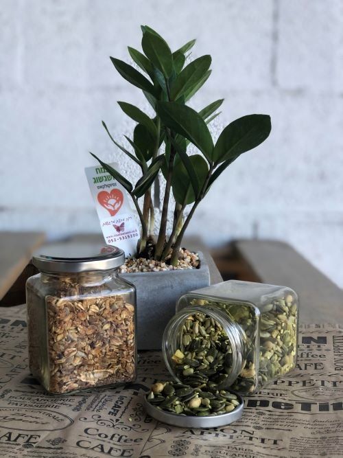 עציץ ישראלי