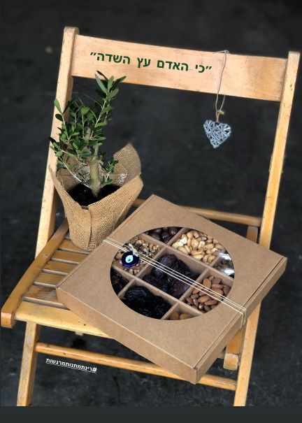עציץ זית ומבחר פירות יבשים