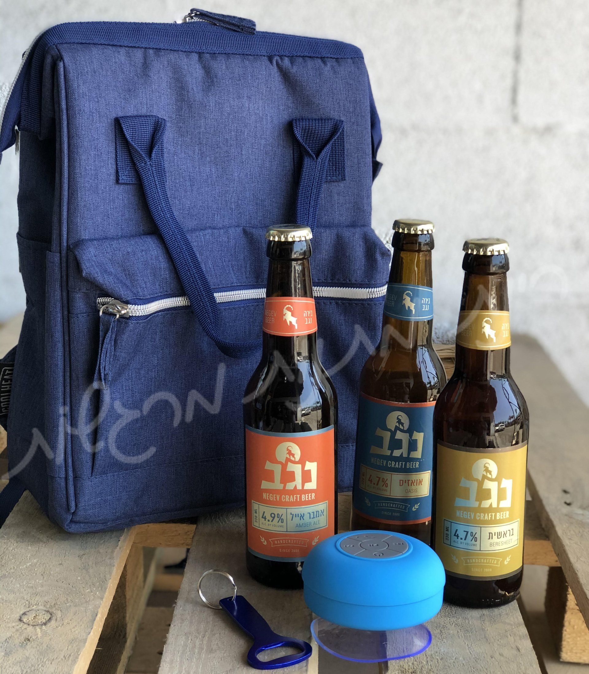 צידנית עם בירות נגב ורמקול