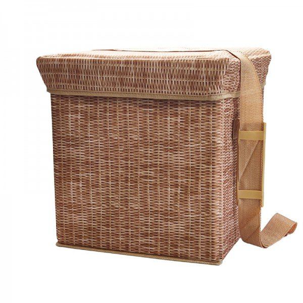 צידנית משפחתית מתקפלת