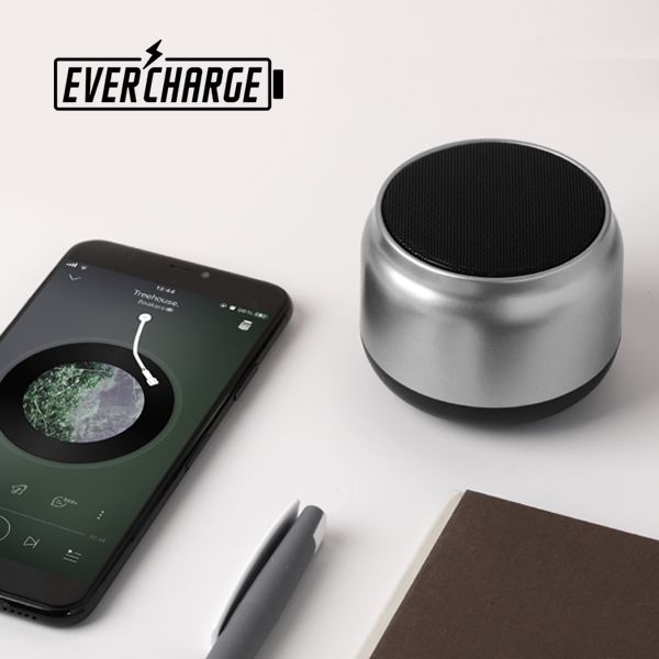 רמקול איירון