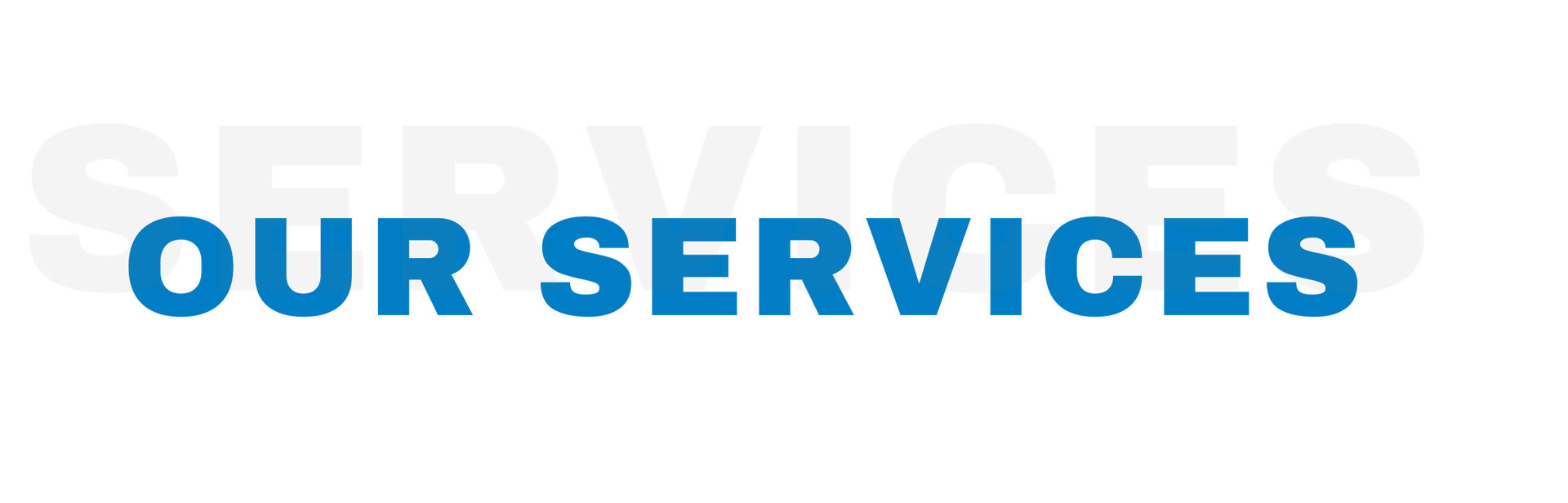 Our Services Text Logo in Blue and Light Gray