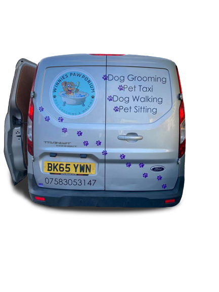 rear of pet taxi vehicle