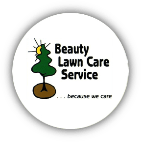 Beauty Lawn Care Service