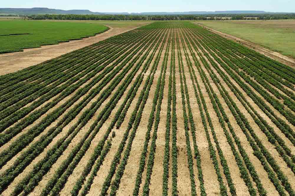 Rural Farm — Property Valuation in Alice Springs