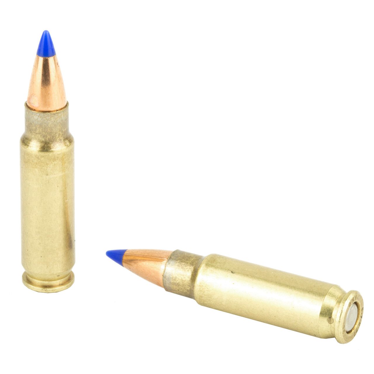Two brass bullets with blue tips on a white background