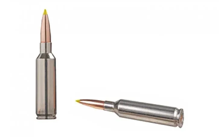 A pair of bullets with a yellow tip on a white background.
