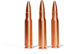 Three copper bullets are sitting next to each other on a white background.