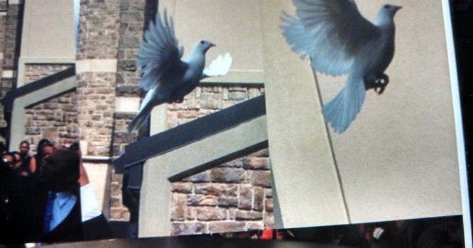 Two doves are flying in front of a building