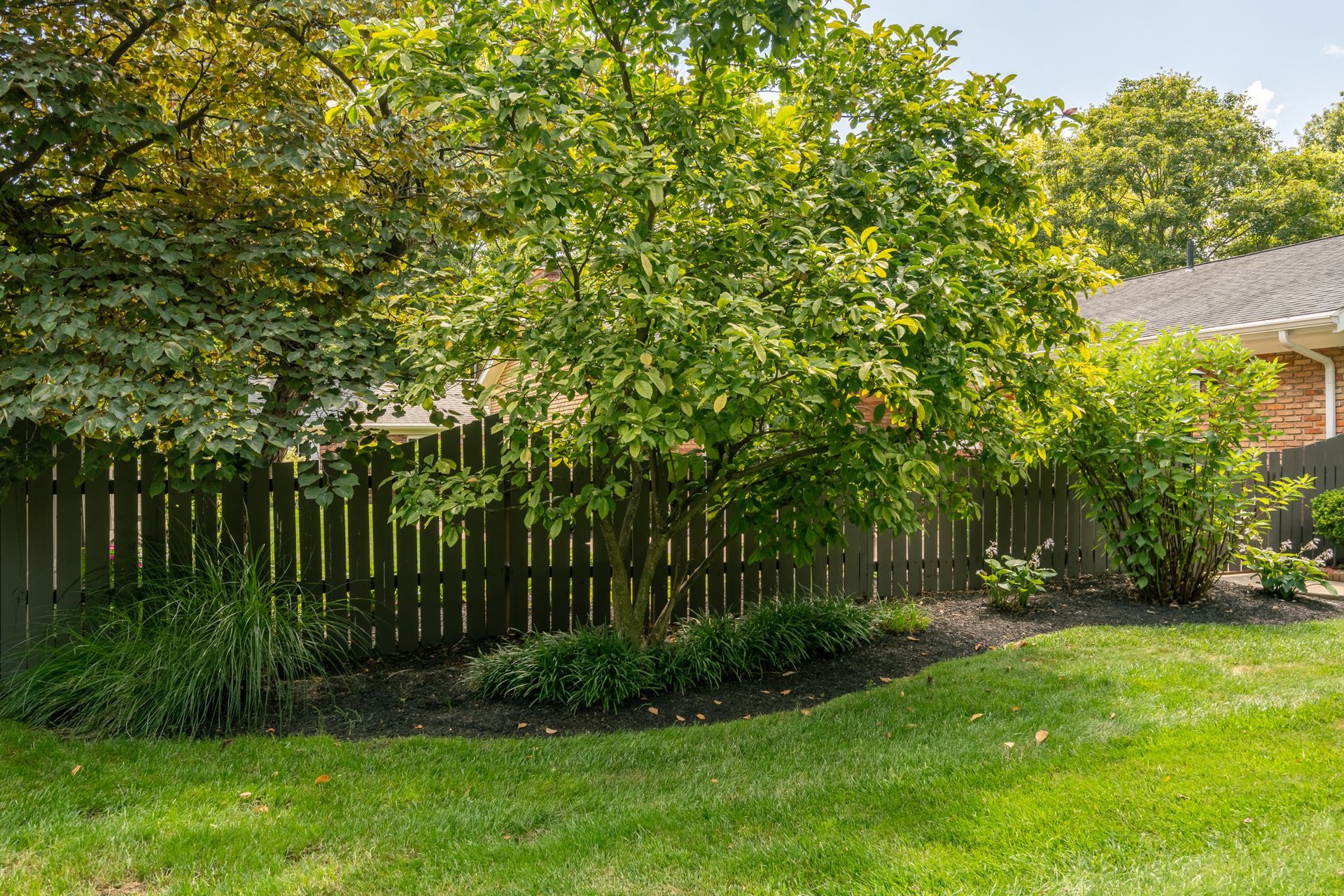 Dark wooden fence with green trees and bushes, a grassy lawn, and a hint of a house in the background.