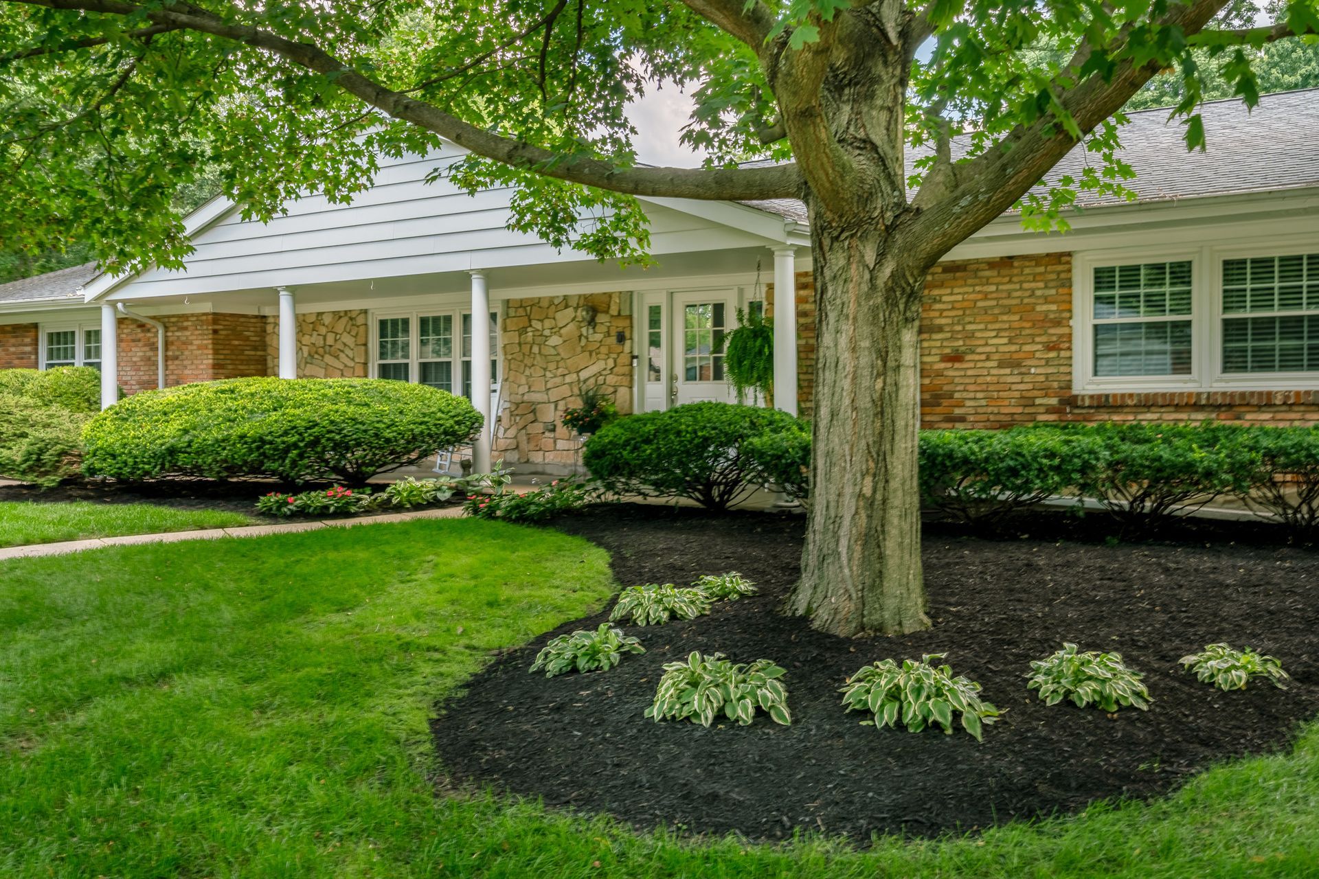 Brick house with lush green lawn, large tree with mulch bed, and manicured shrubs.