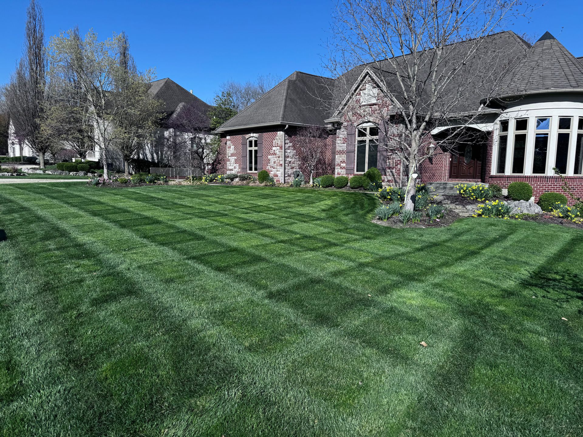 brackman-lawn-and-landscaping-lawn-care-and-maintenance-image