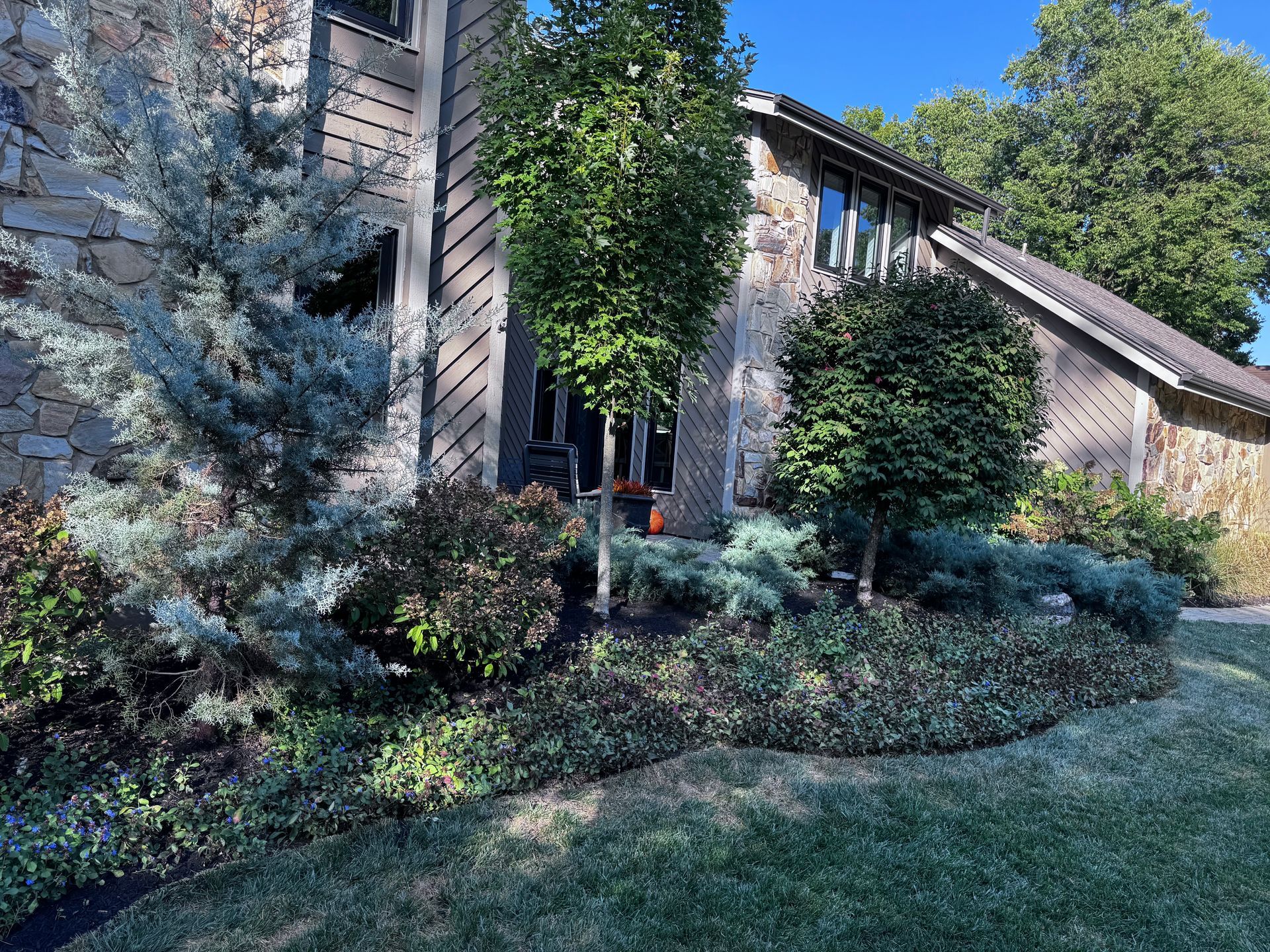 brackman-lawn-and-landscaping-tree-removal-and-land-clearing-image