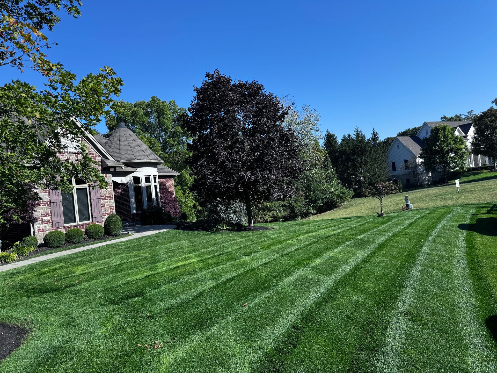 brackman-lawn-and-landscaping-and-hardscape-design-image