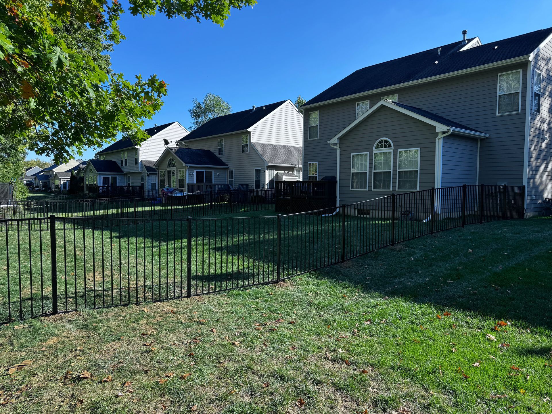 A black fenced backyard with green grass and multiple two-story houses under a blue sky.