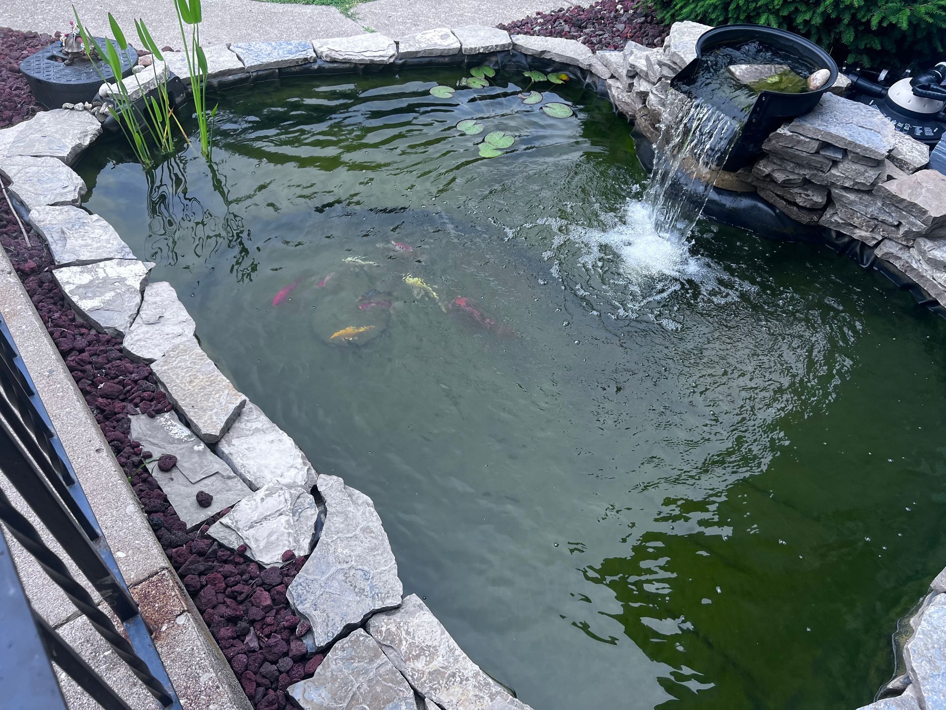 brackman-lawn-and-landscaping-pond-construction-and-water-features-image