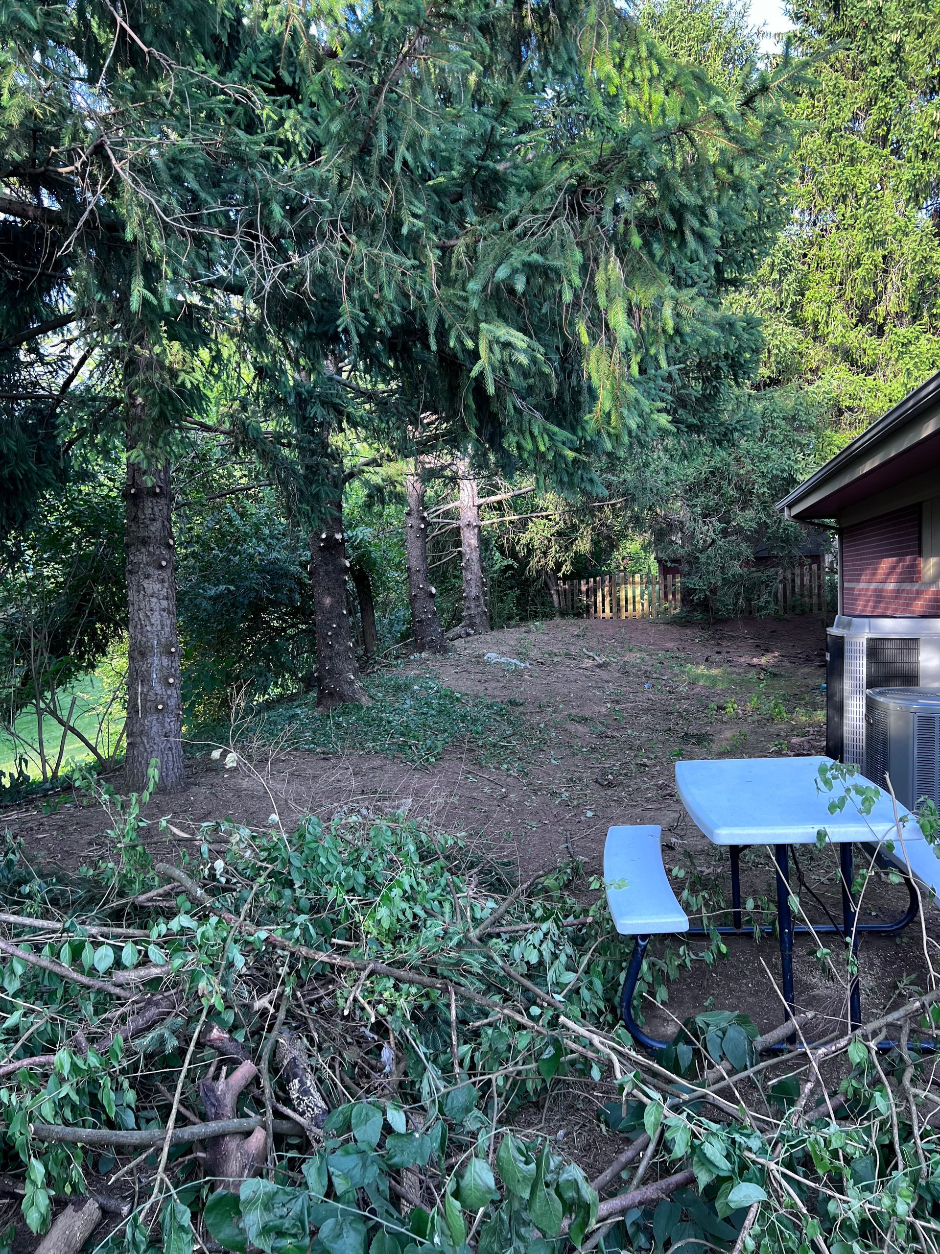 brackman-lawn-and-landscaping-tree-removal-and-land-clearing-image