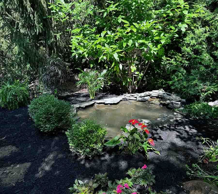 brackman-lawn-and-landscaping-pond-construction-and-water-features-image
