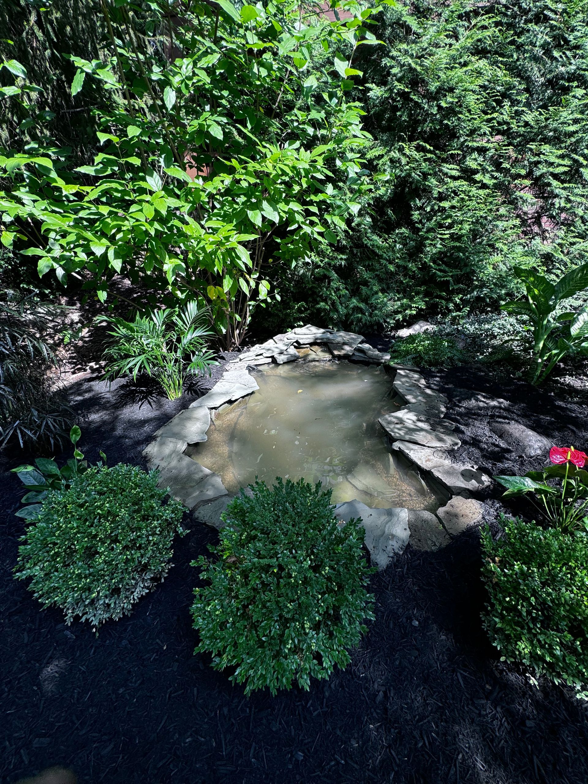brackman-lawn-and-landscaping-pond-construction-and-water-features-image