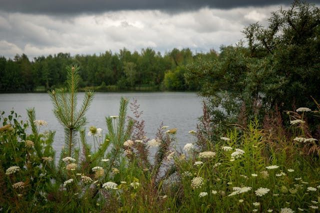 cremation services in Canton Township, MI