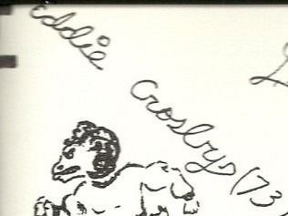 Sketch of an animal with the name 