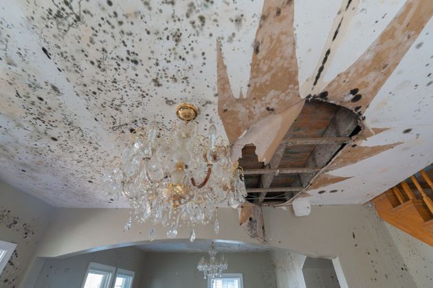 Ceiling with severe mold damage, partially collapsed, with a chandelier hanging below.