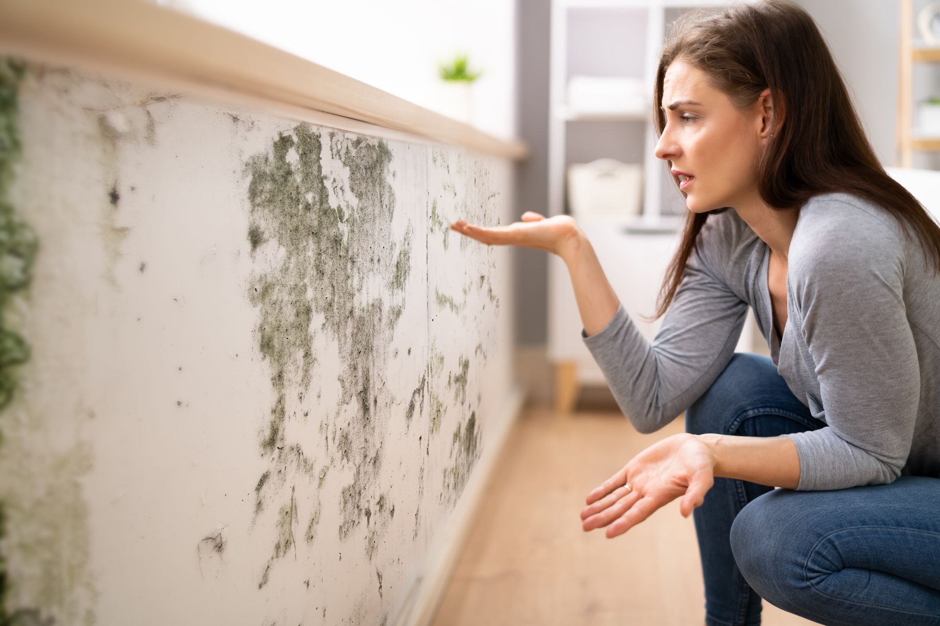 Woman squats, concerned, looking at a wall covered in mold. Interior setting, light gray wall, light skin tone.