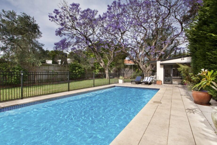 Backyard with Rectangular Pool, Patio, and Blooming Purple Tree — Holiday Coast Pools & Water In Coffs Harbour, NSW