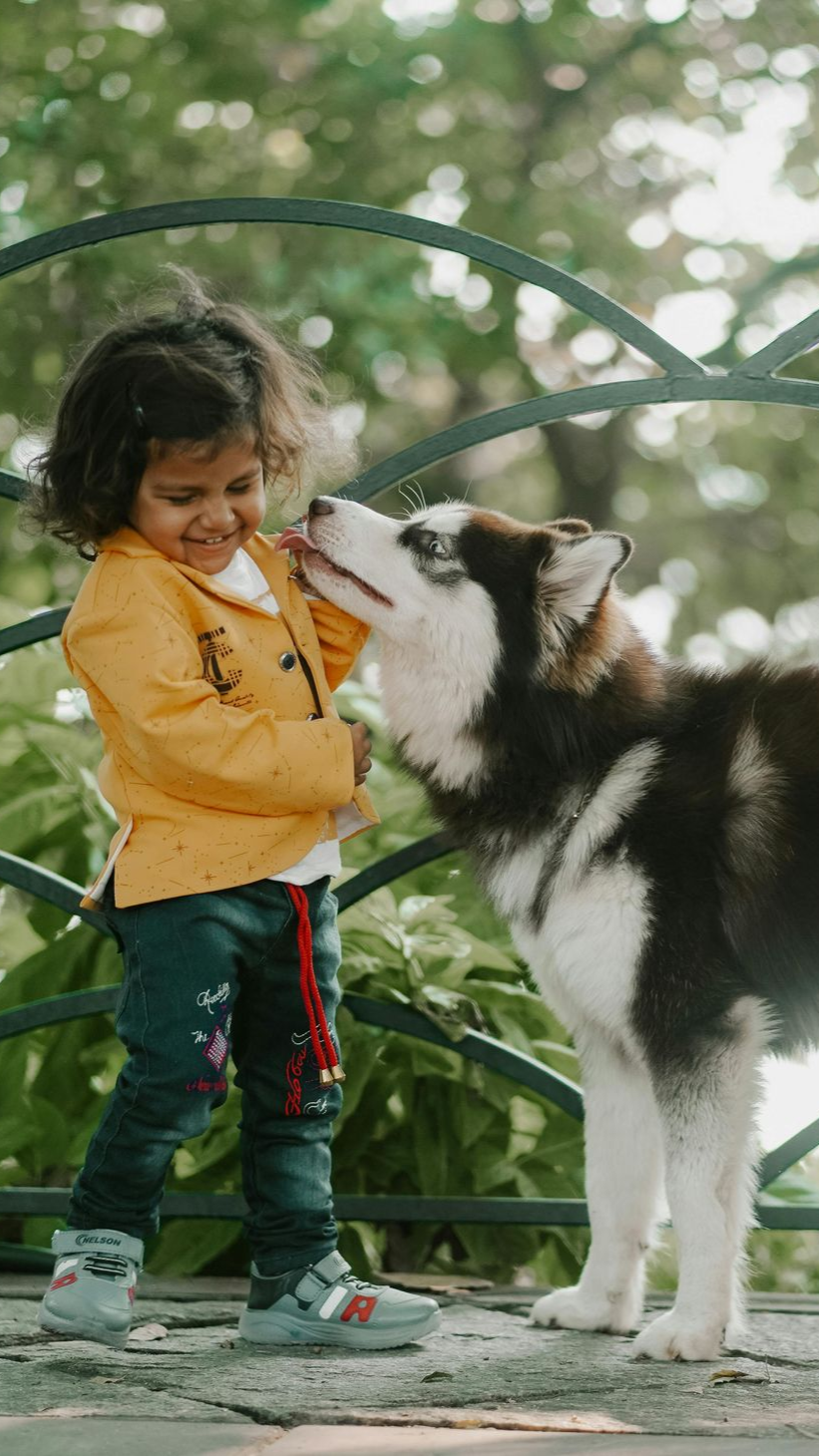 Child in yellow jacket smiles, petting a husky dog by a fence outdoors.