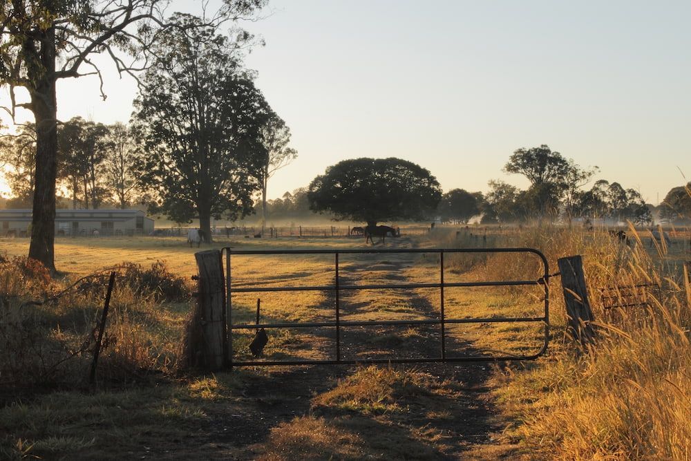 A Gate In The Middle Of A Field With Trees In The Background — Splash-A-Bout Swim School Pty Ltd In Glenden, QLD