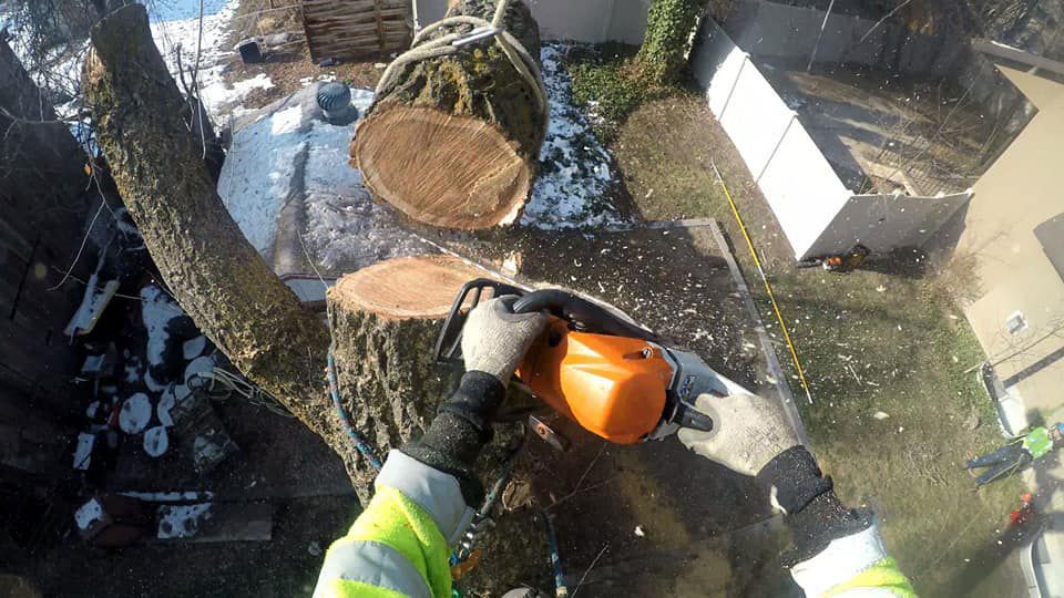 A person is cutting a tree stump with a chainsaw.
