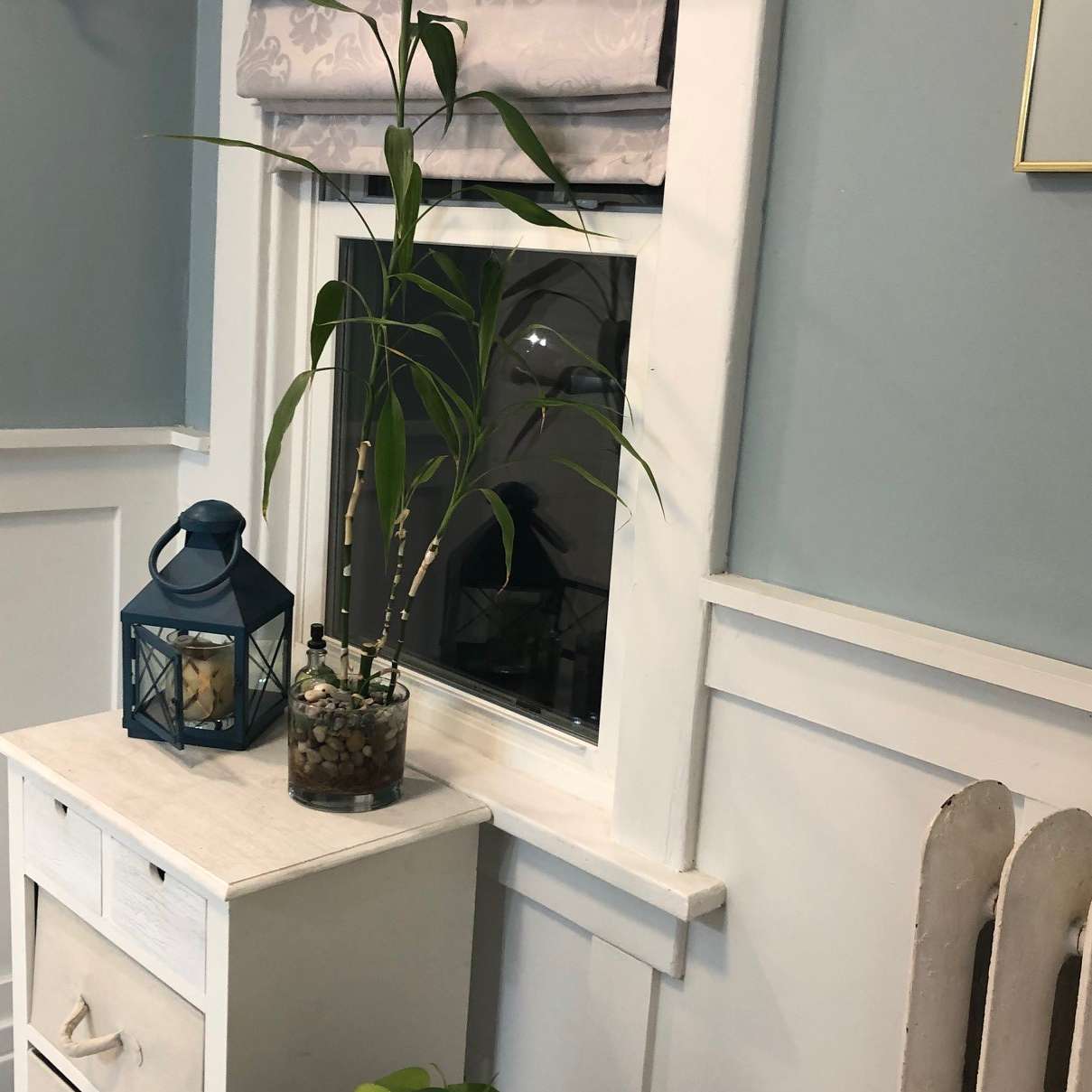 A potted plant sits on a nightstand next to a window