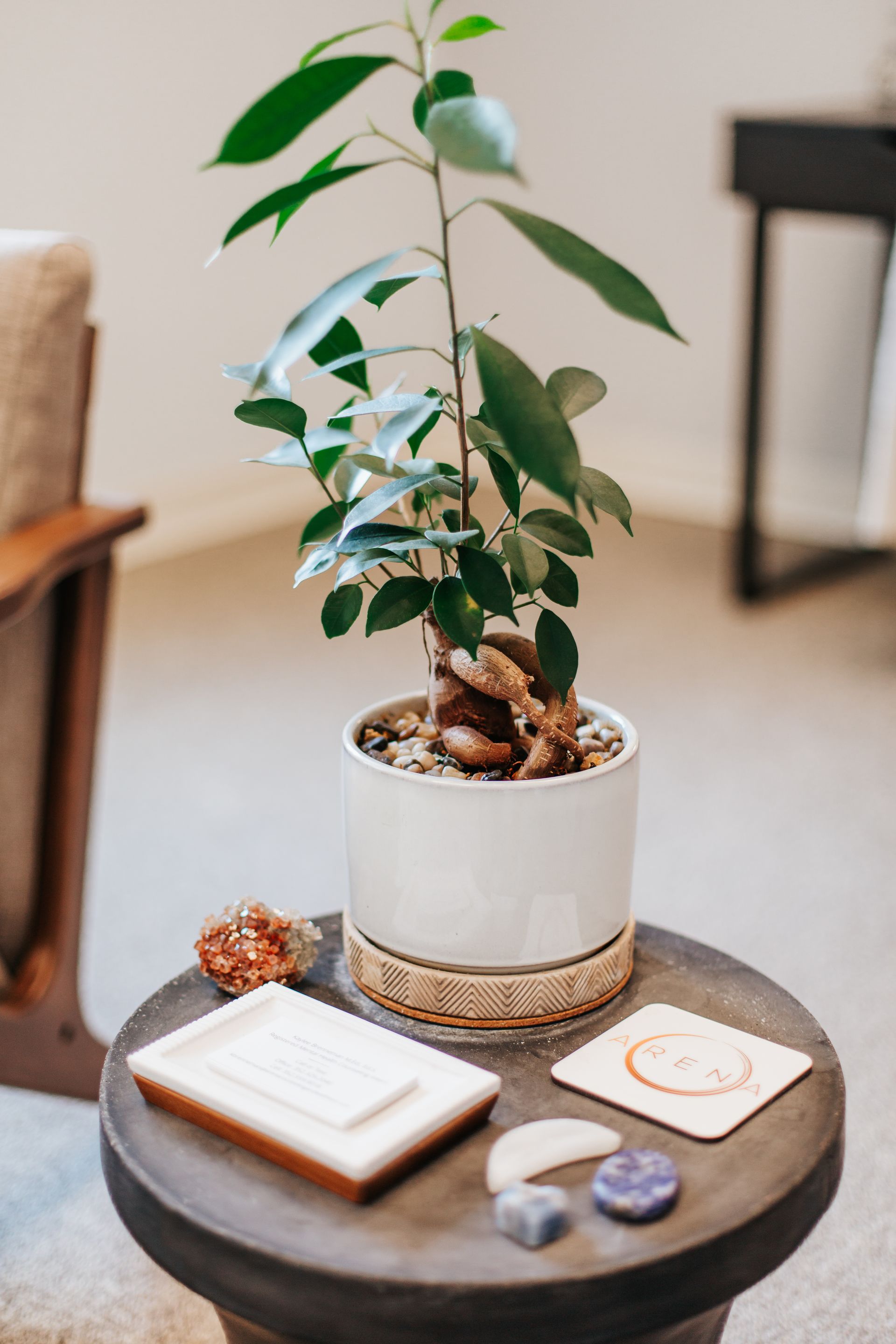 A potted plant is sitting on a wooden table next to crystals.