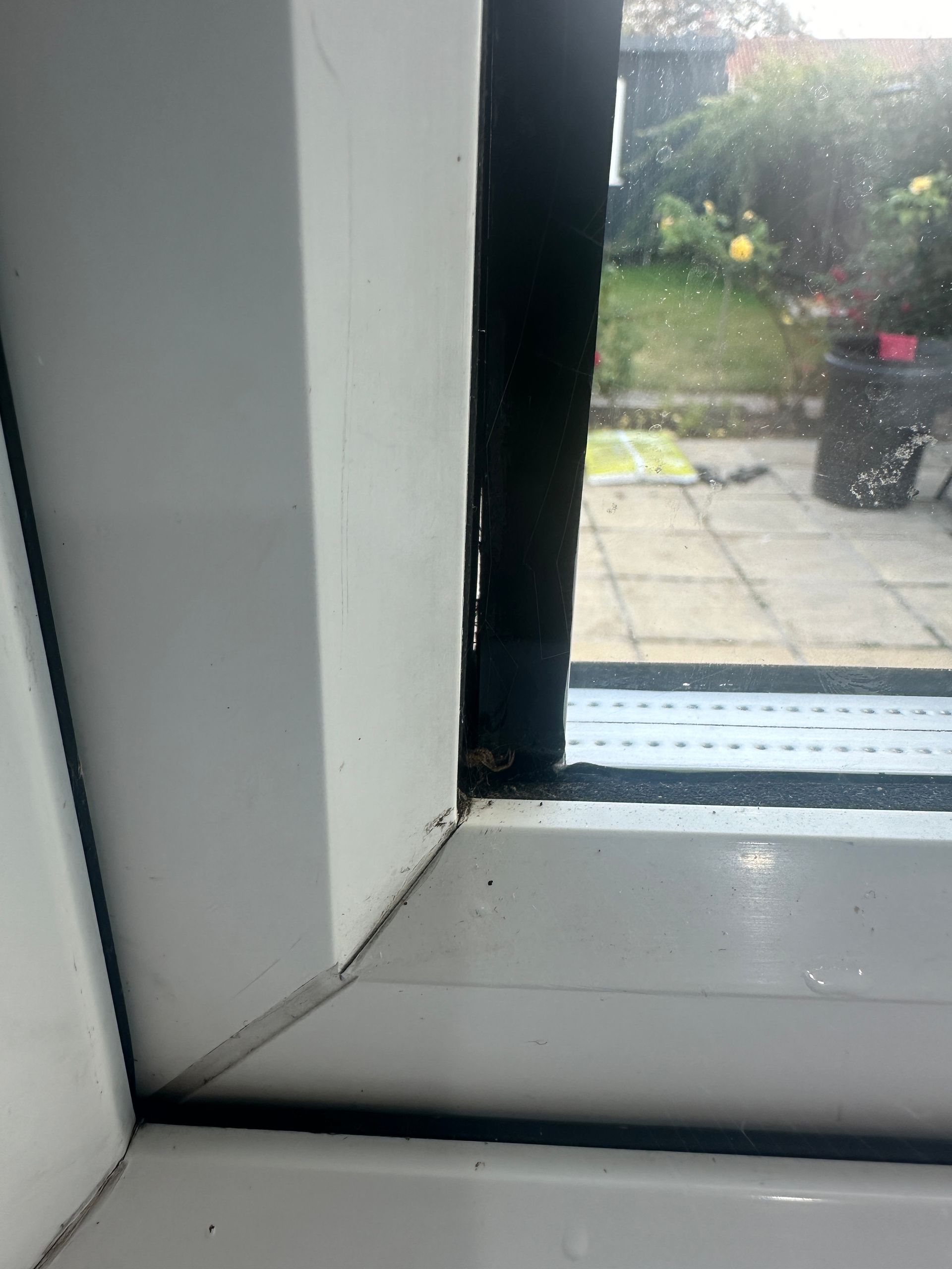 Incorrectly glazed window