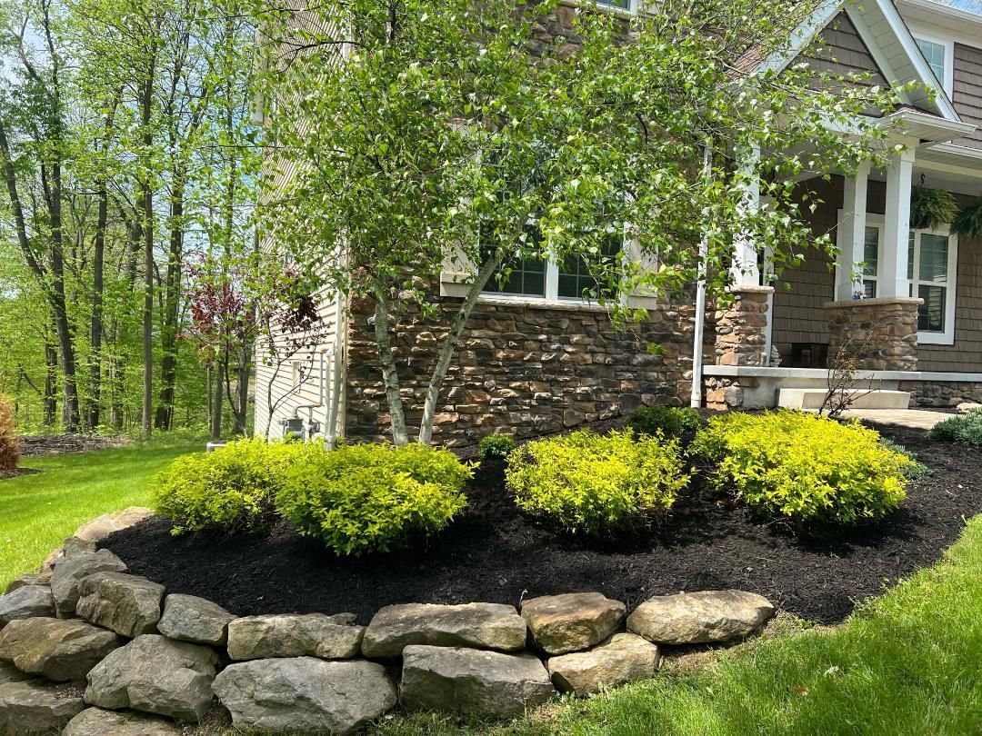 Stone retaining wall with shrubs, trees, and house. Mulch and grass are present.