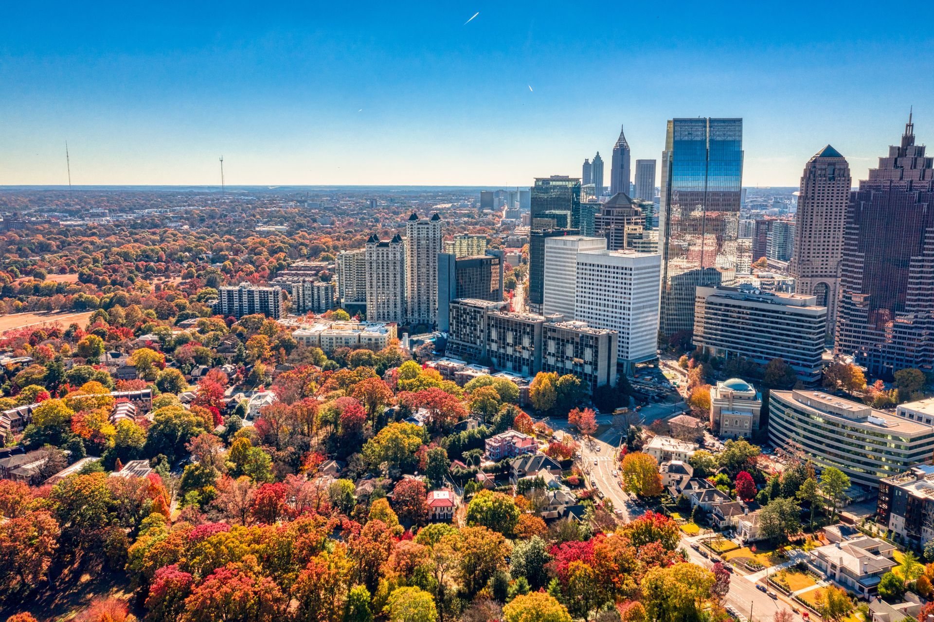 An aerial view of a city with trees in the foreground and a skyline in the background.