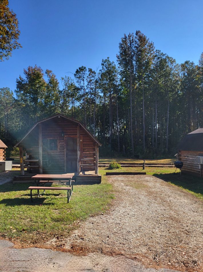 A small log cabin with a picnic table in front of it.