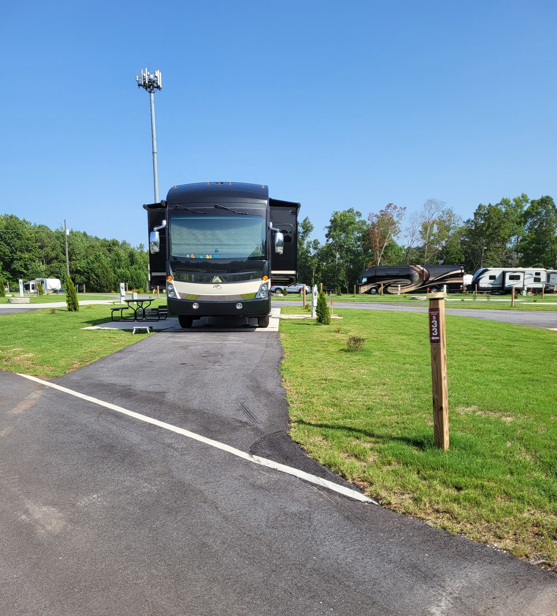A row of rvs parked on the side of the road in a campground.