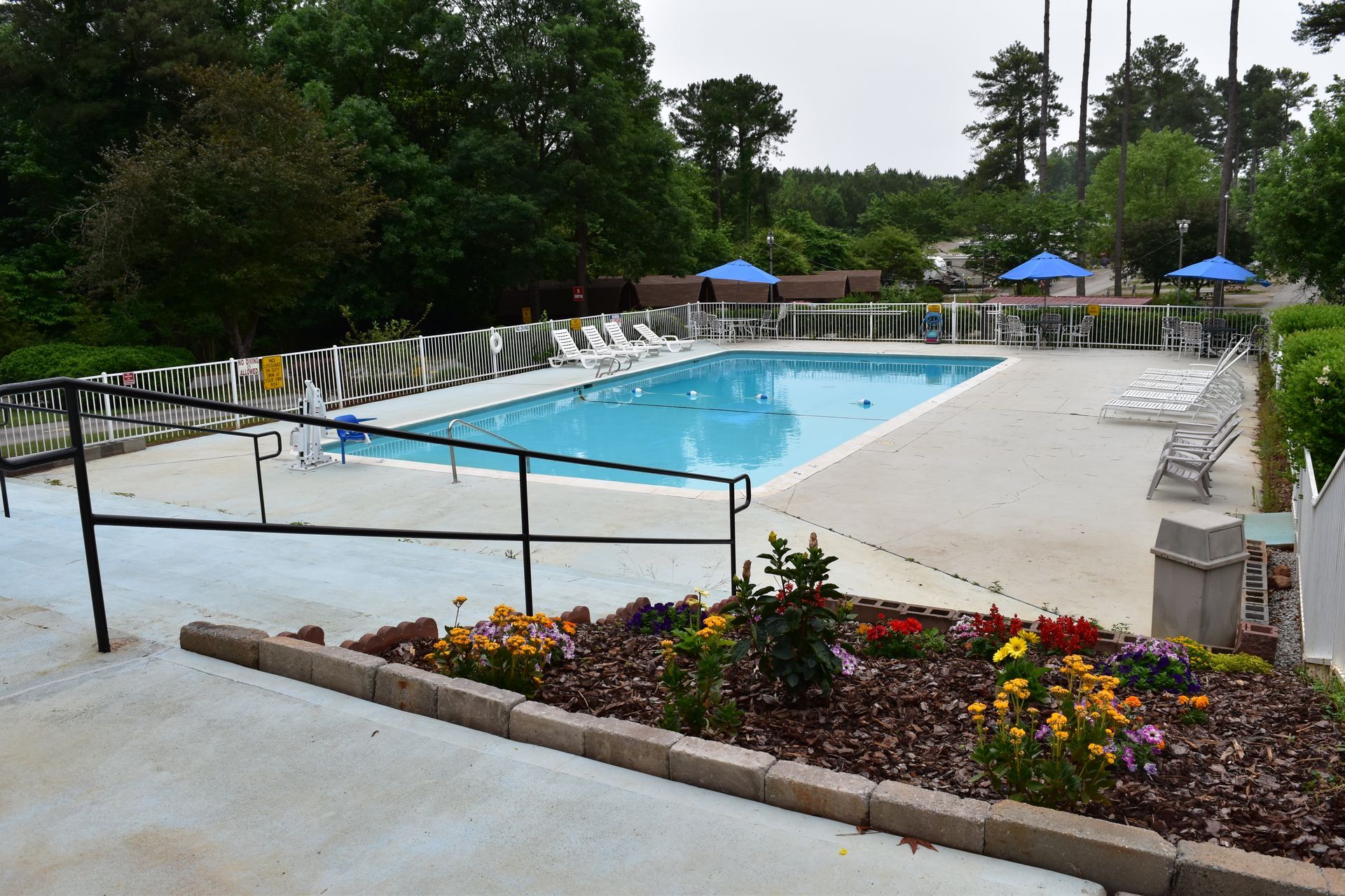 A large swimming pool surrounded by chairs and flowers