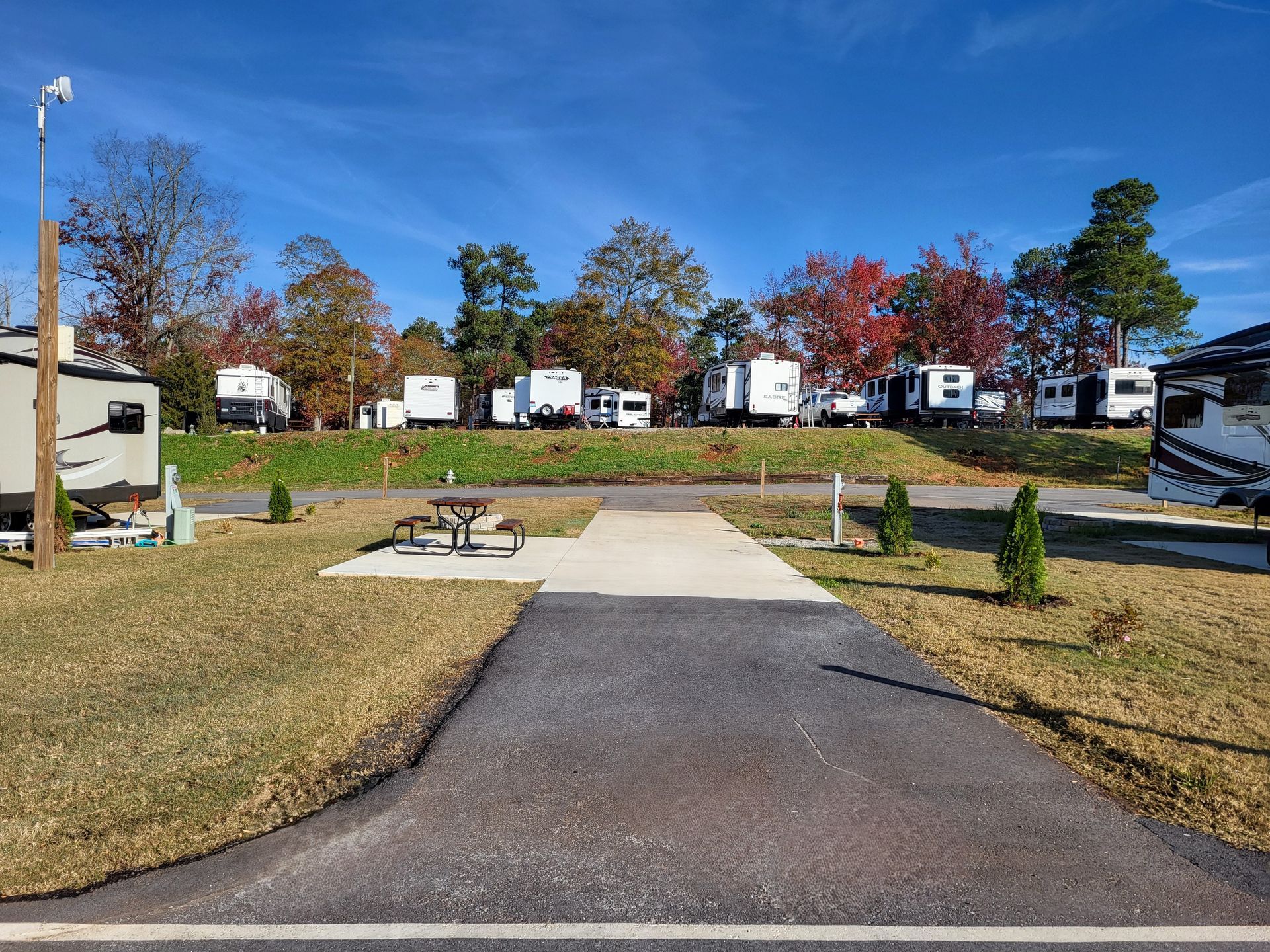 A row of rvs parked in a campground with a picnic table.