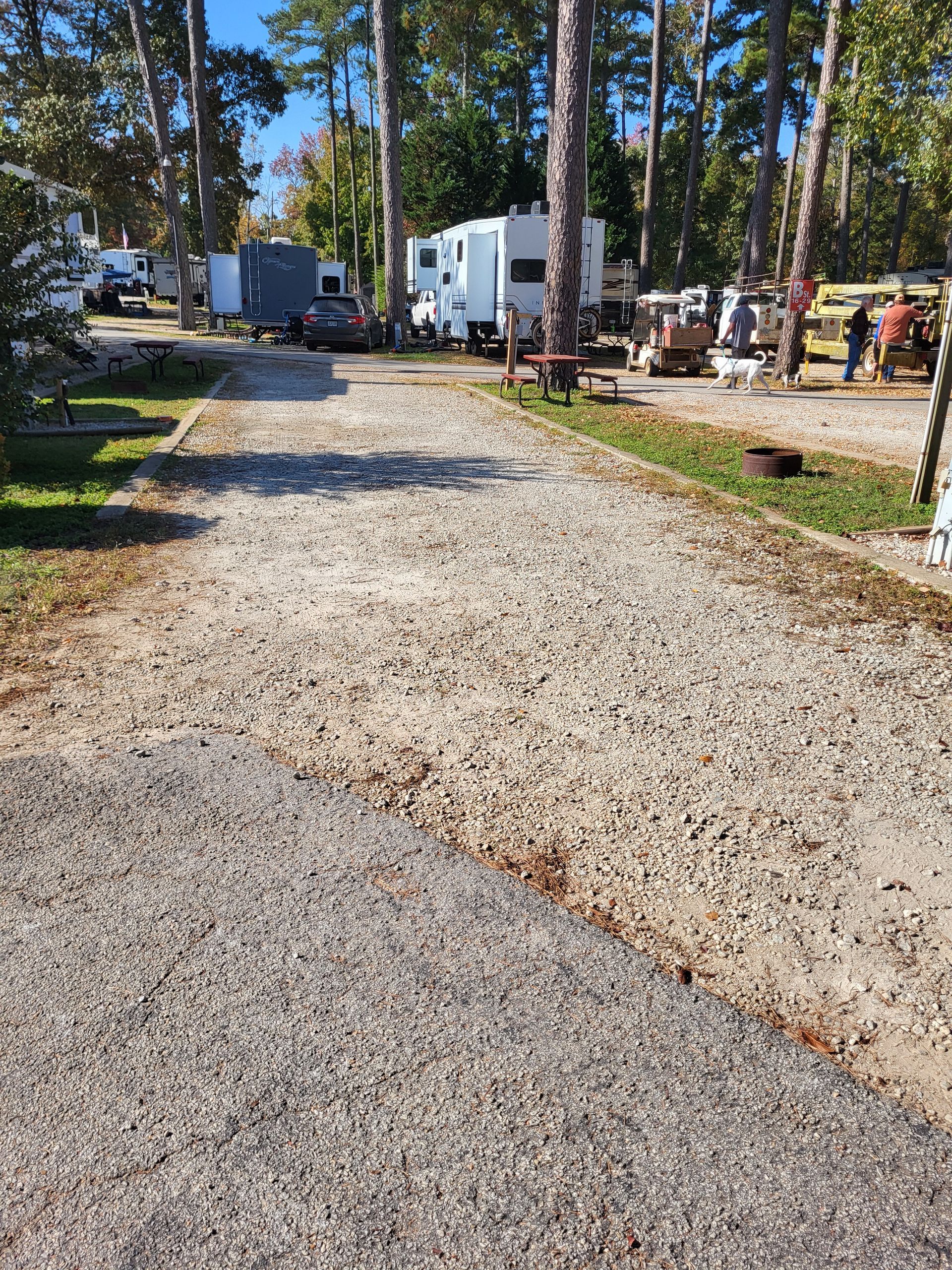 A gravel road leading to a campground with a lot of rvs parked on the side of it.