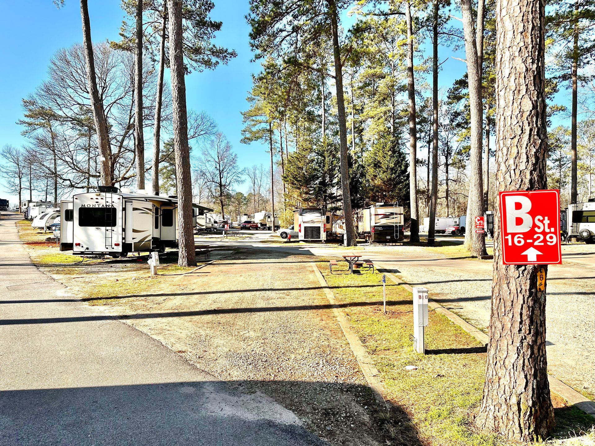 A rv park with a red b sign on a tree.
