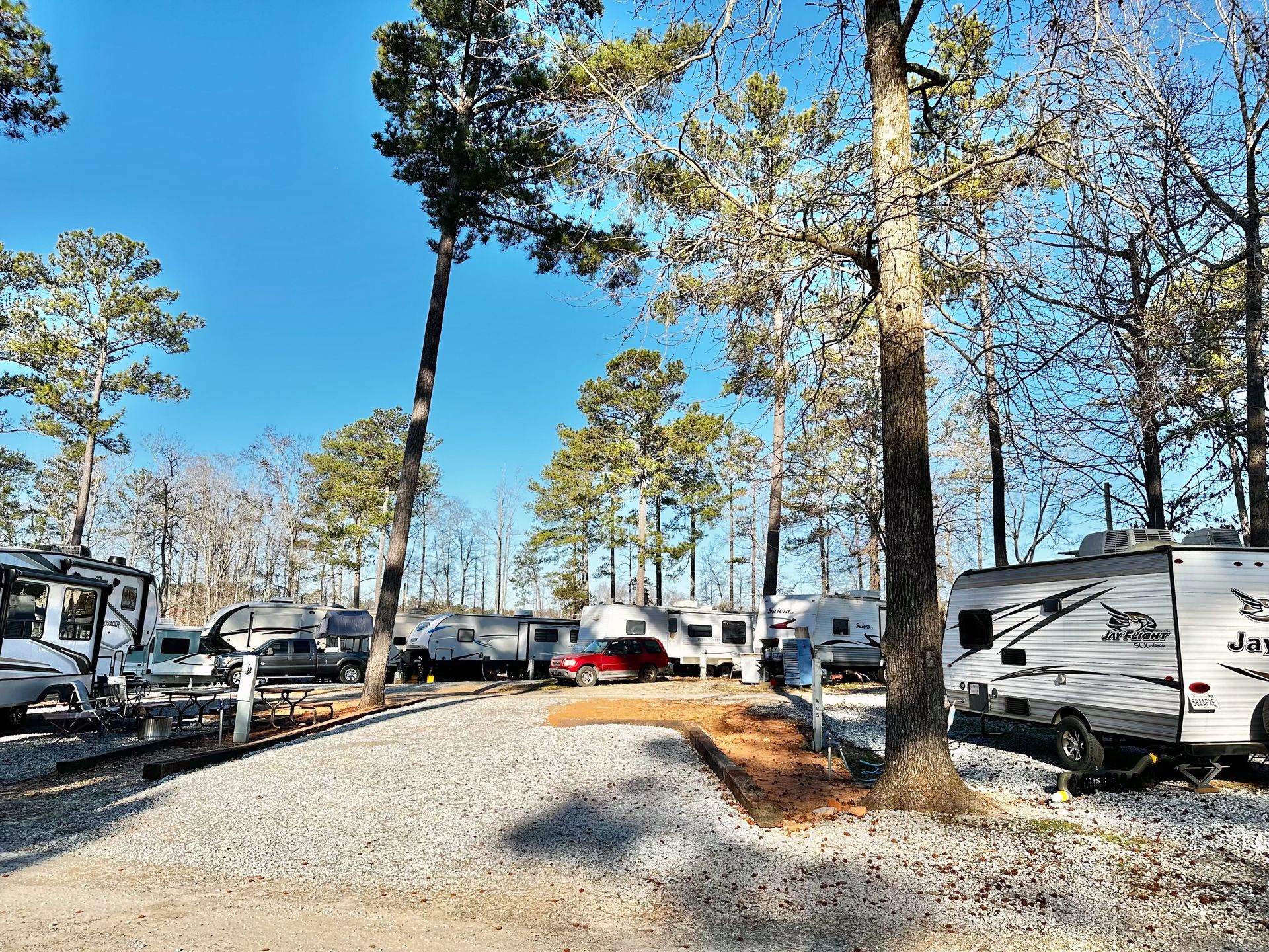 A lot of rvs are parked in a lot surrounded by trees.