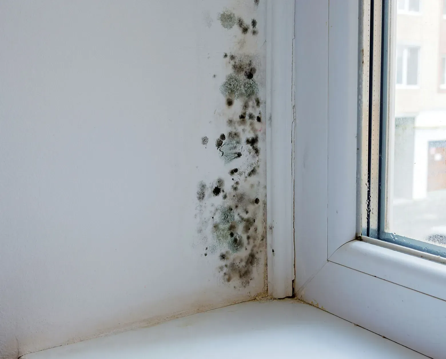A corner of a window with mold growing on it.
