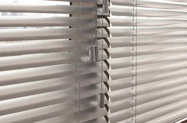 Aluminum and Vinyl Blinds