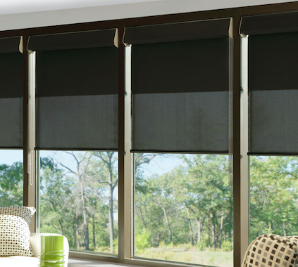 Dual Shades (Sheer and Opaque)
