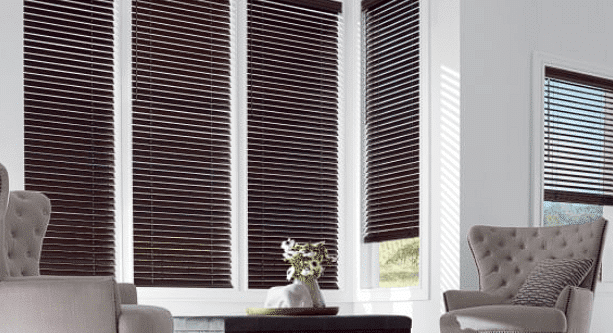 Light and Privacy Control Options