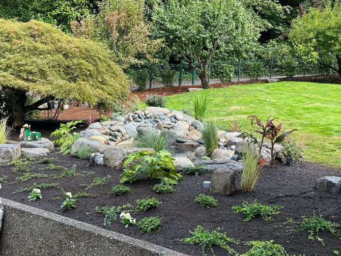 Landscape Planting